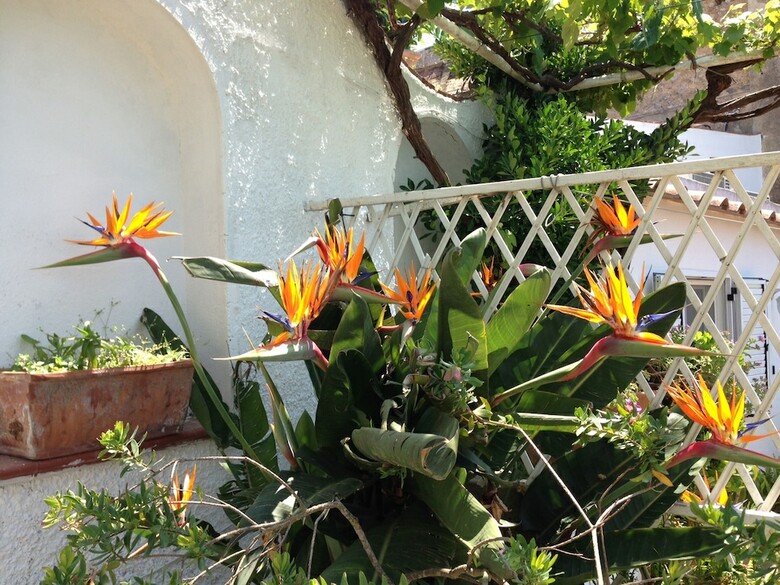 Casa Anna Capri