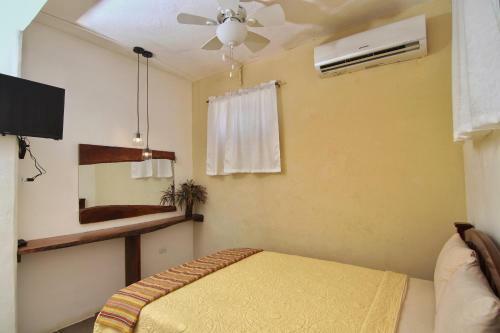 Posada Rainforest Haven Inn