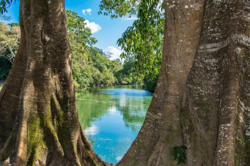 Lodge Dream Valley Jungle Resort