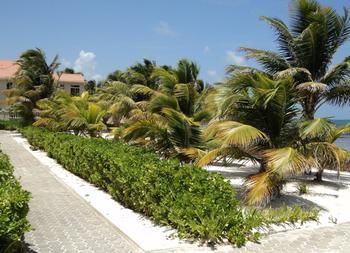 Hotel Royal Caribbean Resort