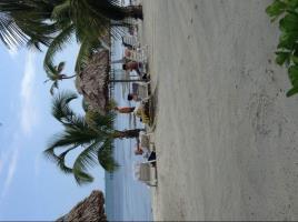 Hotel Royal Caribbean Resort