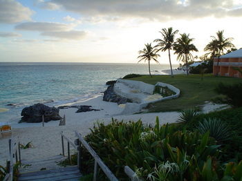 Hotel Coco Reef Bermuda