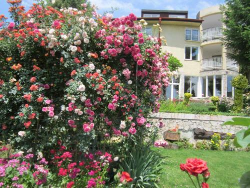 Hostal Guest House Bankya