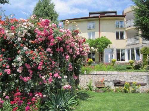 Hostal Guest House Bankya