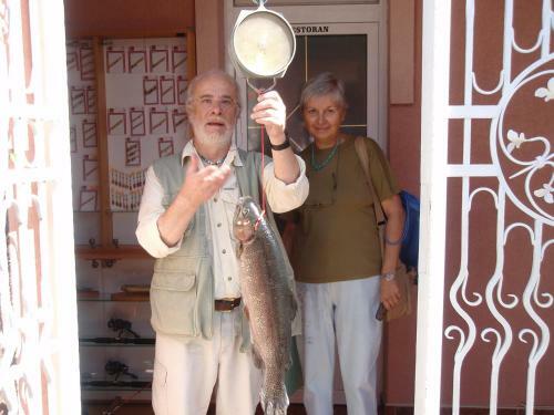 Bed & Breakfast Saraj Guest House
