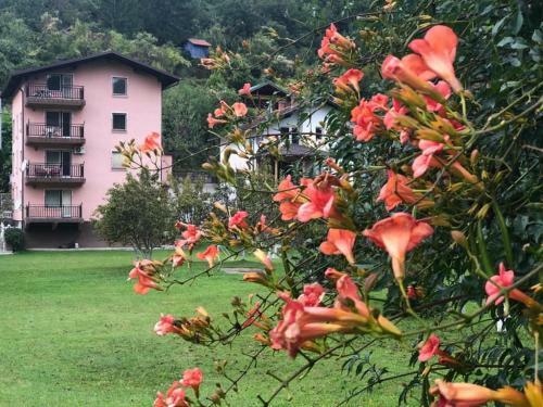 Bed & Breakfast Saraj Guest House