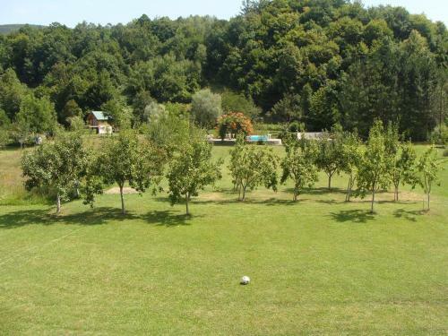Bed & Breakfast Saraj Guest House