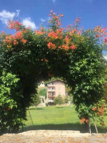 Bed & Breakfast Saraj Guest House