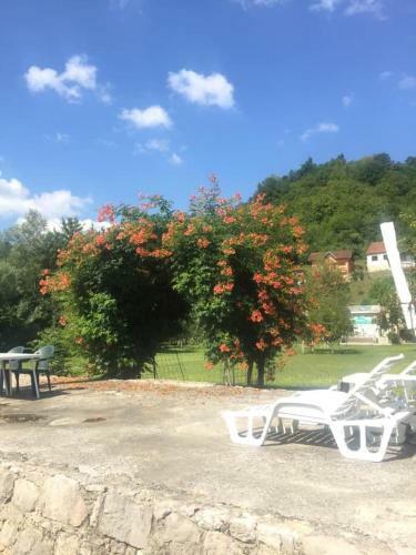 Bed & Breakfast Saraj Guest House