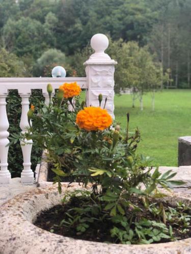 Bed & Breakfast Saraj Guest House