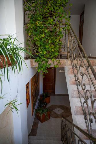 Kalypso Hotel