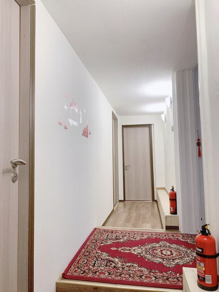Hostal Budapest Three Cats Hostel