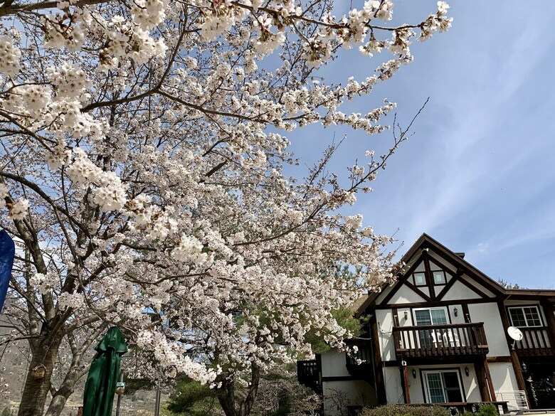 Yangsan Cozy Pension
