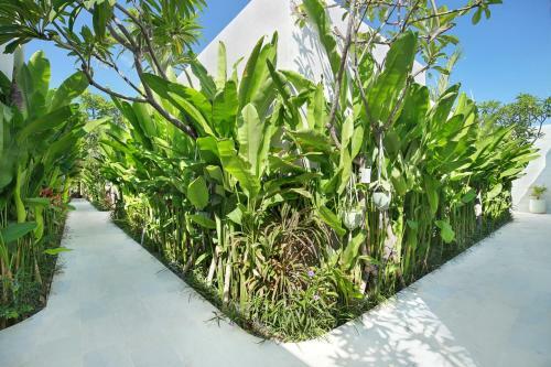 Bed & Breakfast Astera Villa Seminyak