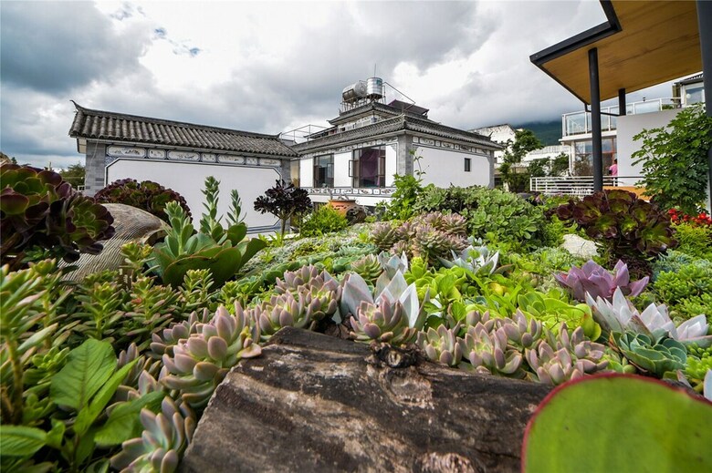 Hostal Luyunshe Inn