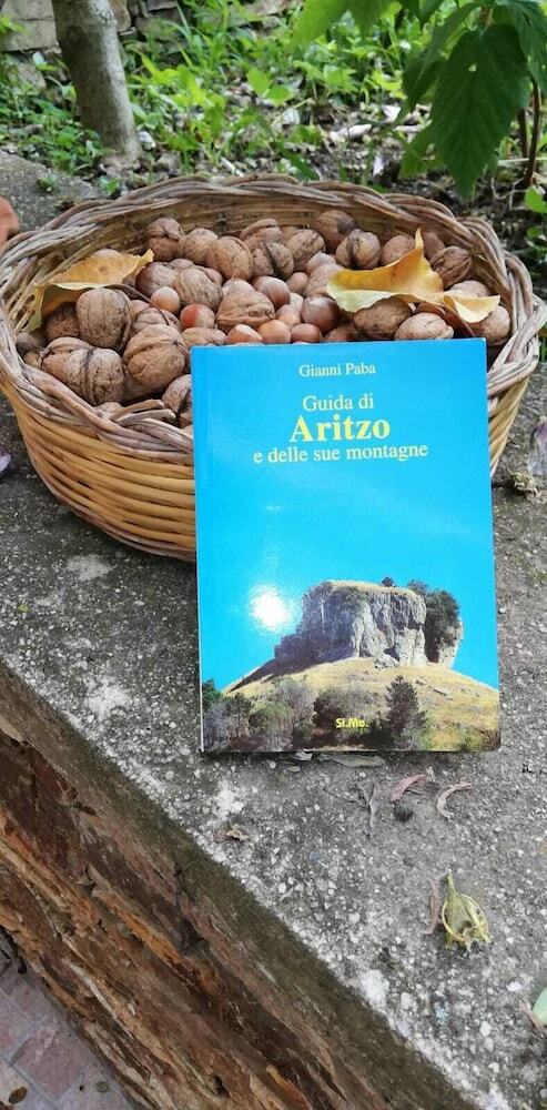 Bed & Breakfast L'agrifoglio