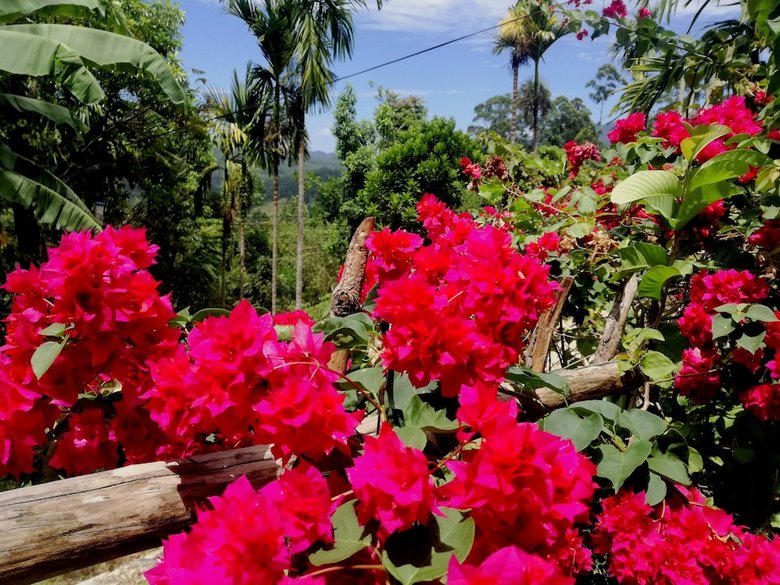 Bed & Breakfast The Kanro Ella