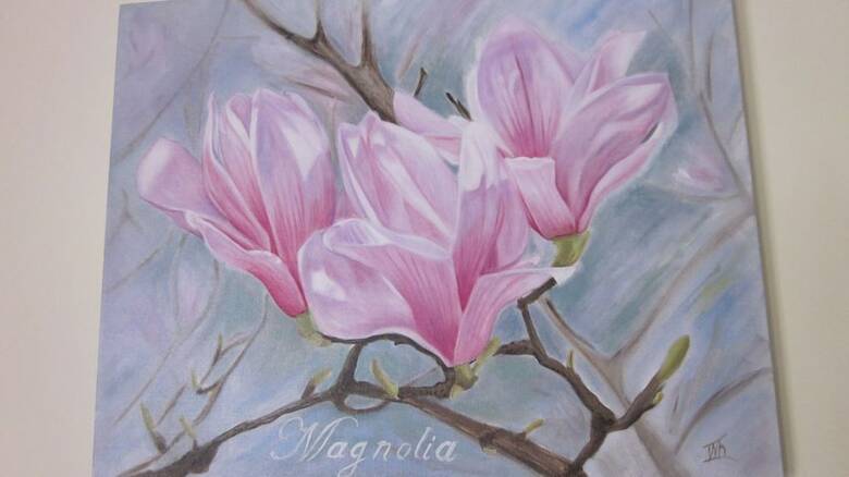 Paddocks Holiday Cottages Magnolia