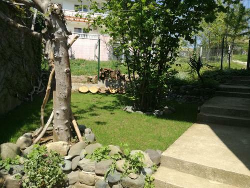 Hostal Guest House Fanny