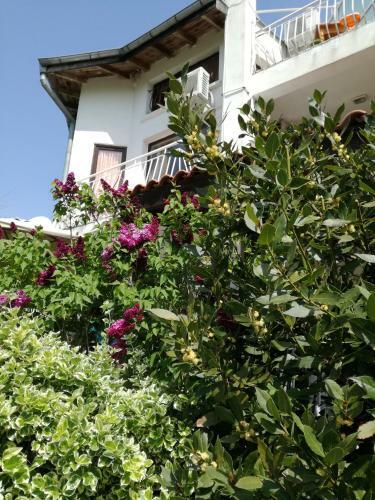 Hostal Guest House Fanny