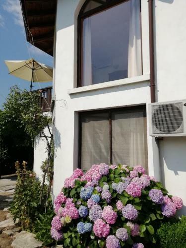 Hostal South Beach Villa