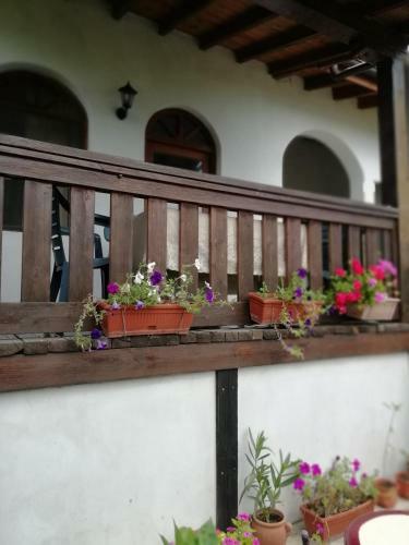 Hostal South Beach Villa
