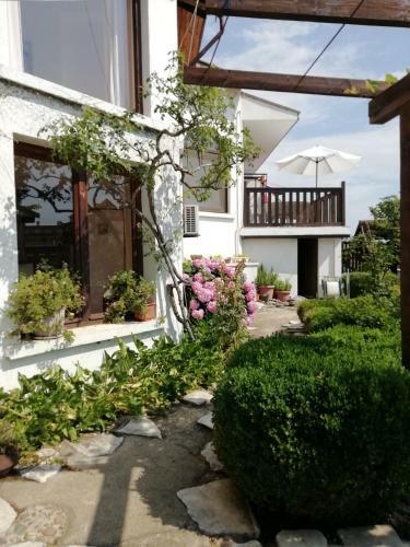 Hostal South Beach Villa