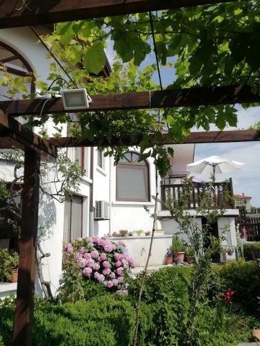 Hostal South Beach Villa