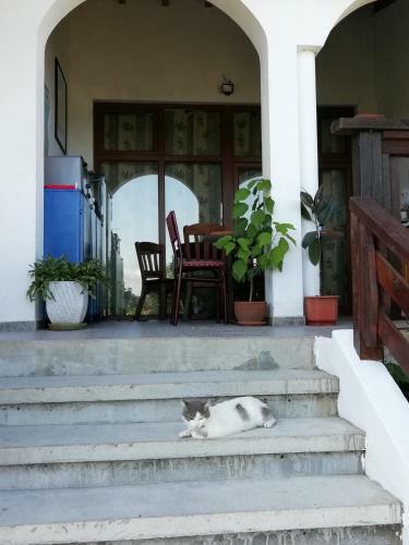 Hostal South Beach Villa
