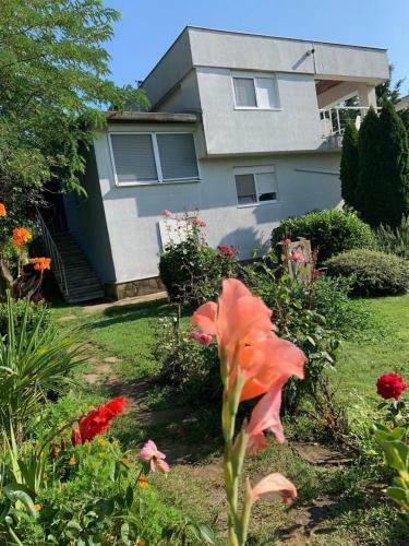 Hostal Villa California