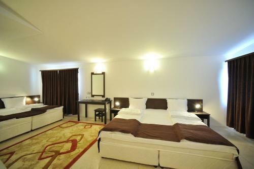Hotel Melnik