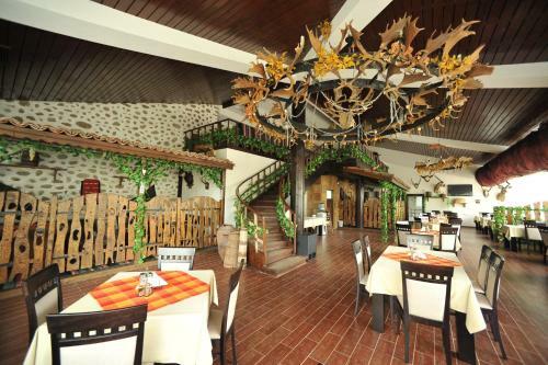 Hotel Melnik