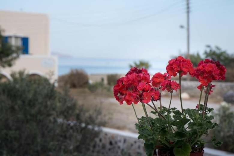 Hotel Downtown Fira Santorini