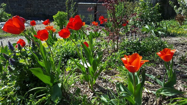Bed & Breakfast Le Clos de L'oiselon