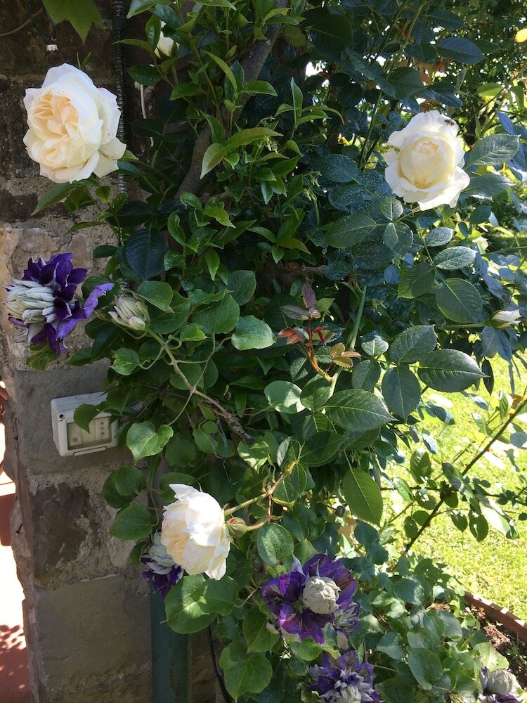 Bed & Breakfast Villa Del Lago