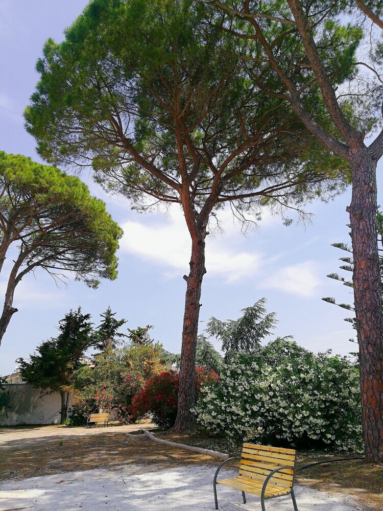Bed & Breakfast Calle Dei Saraceni