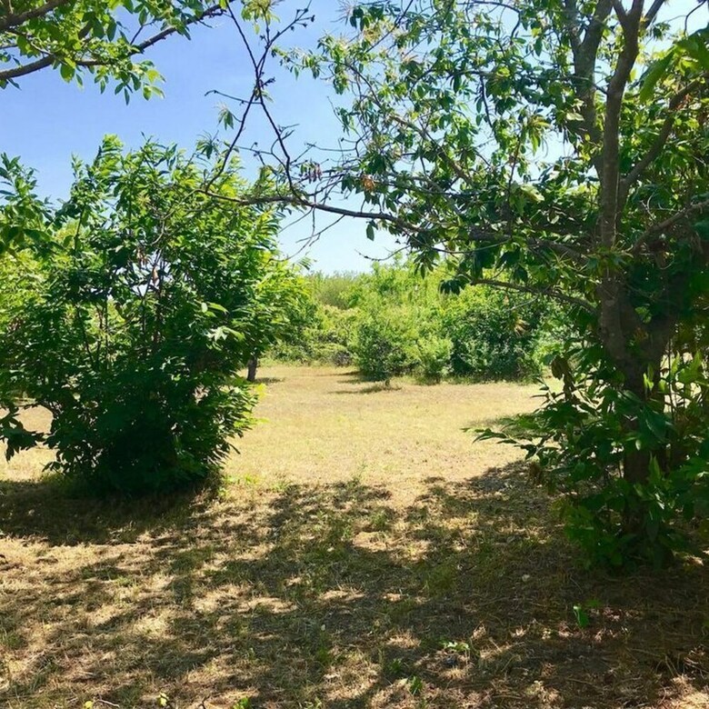Residencia Villa Sarena