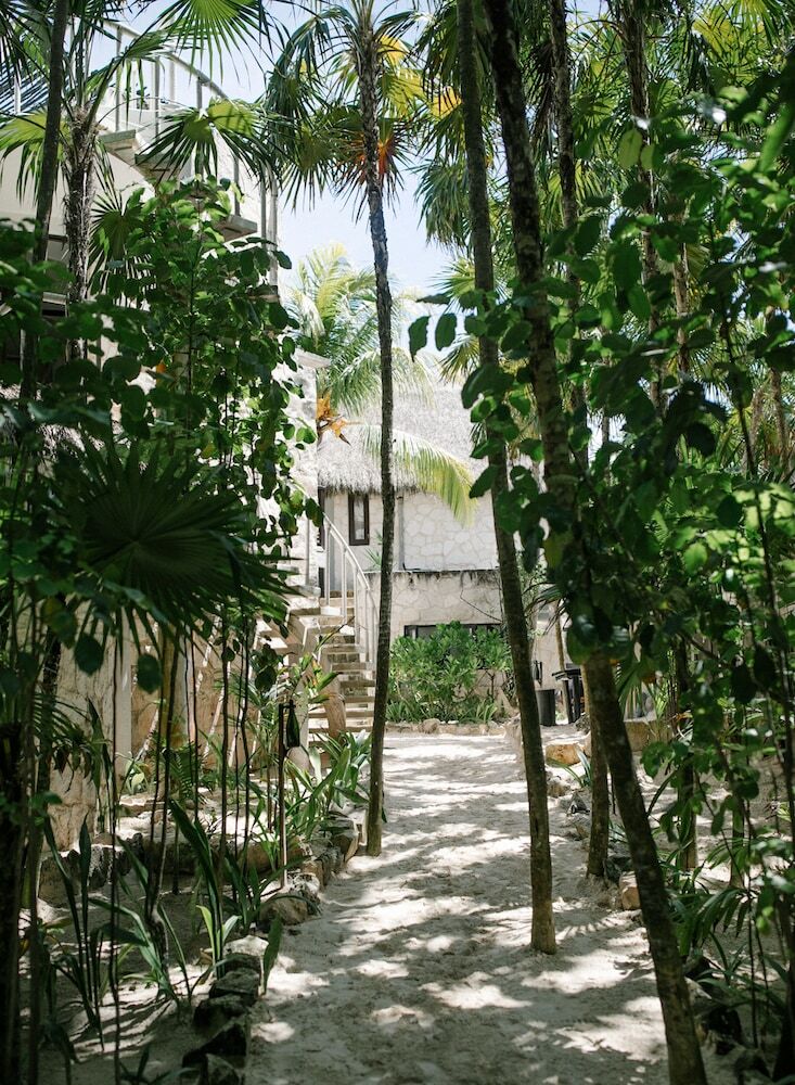 Hotel Nest Tulum