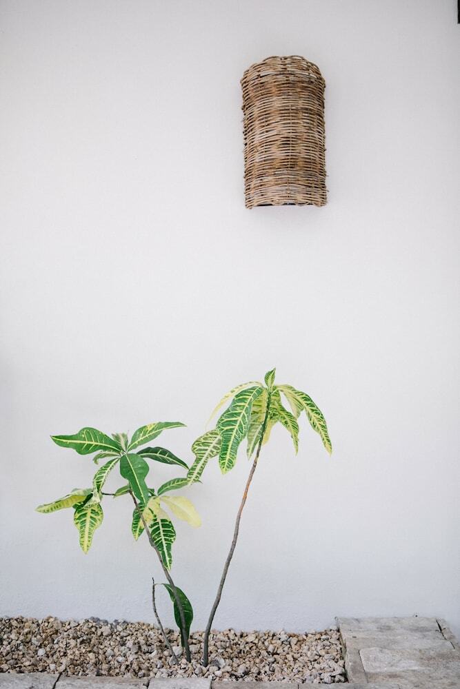 Hotel Nest Tulum