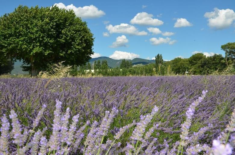 Bed & Breakfast Mas de L'amme