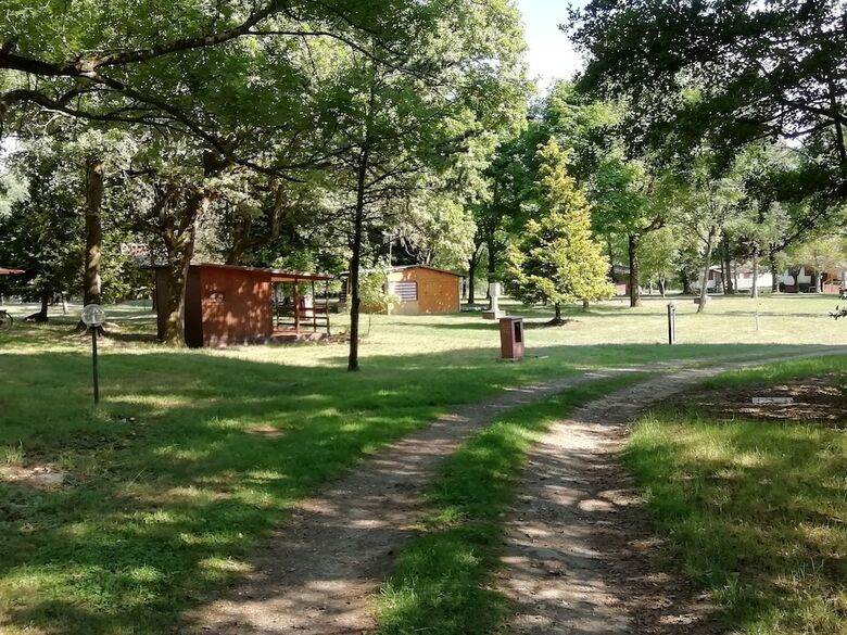 Future Is Nature Playground