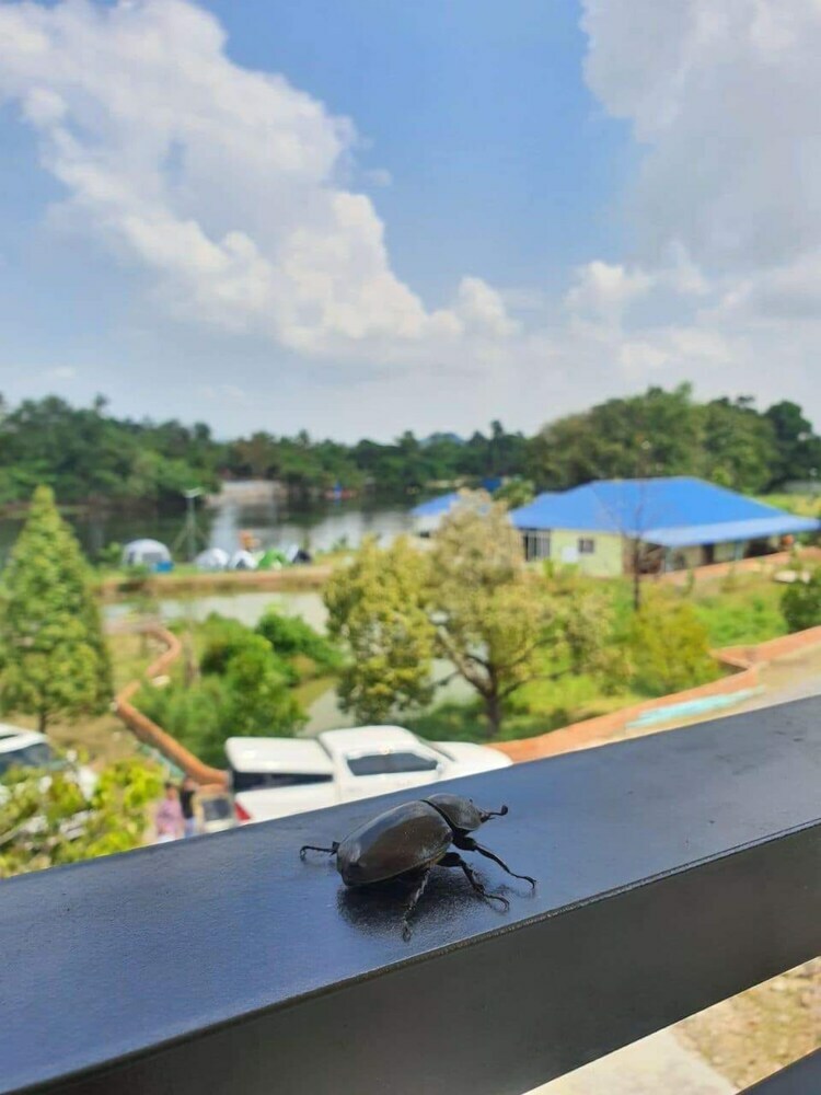 Hotel Panorama Mountain Resort