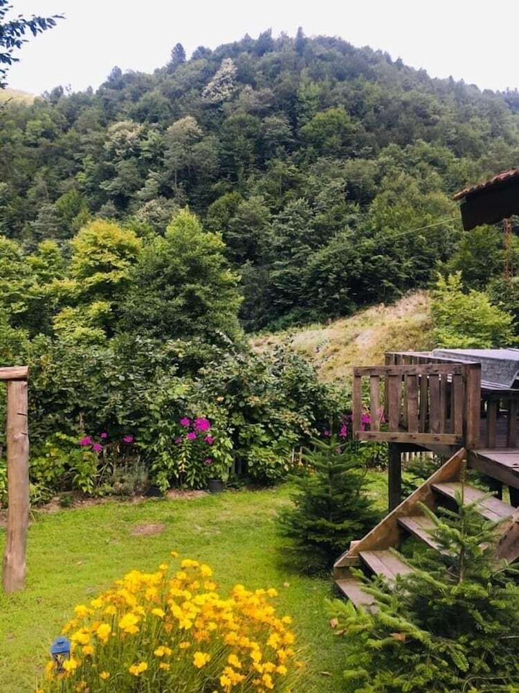 Kartal Vadisi Dag Evleri