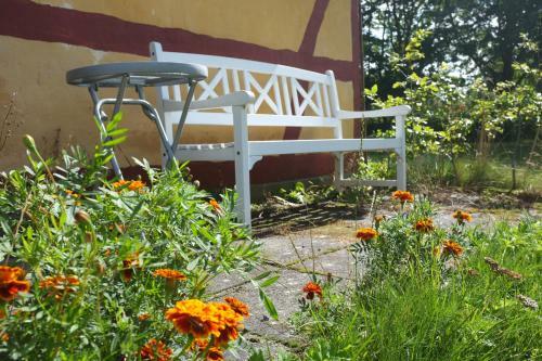 Langeland Holiday House