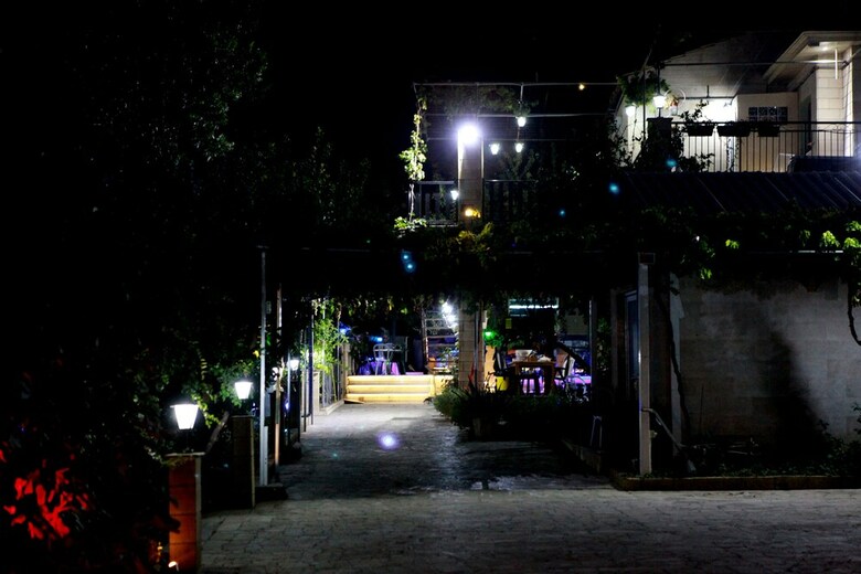 Hotel George's Villa