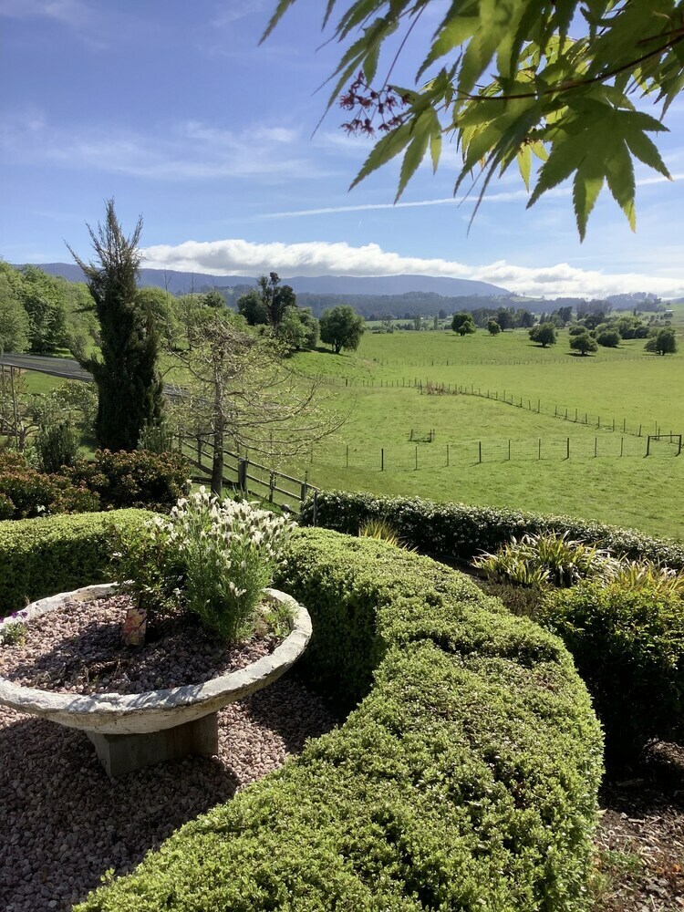 Apartamentos Mole Creek Hideaway