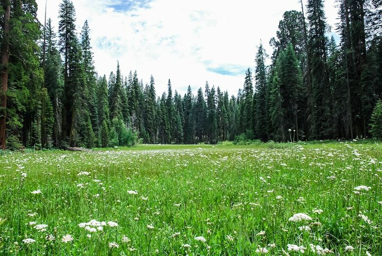 Elliott House Bed & Breakfast