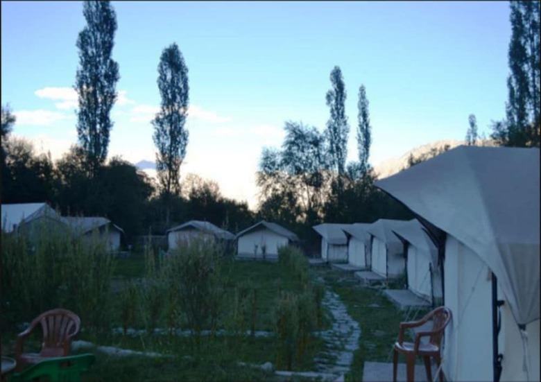 Tih Desert Oasis Camp - Hunder