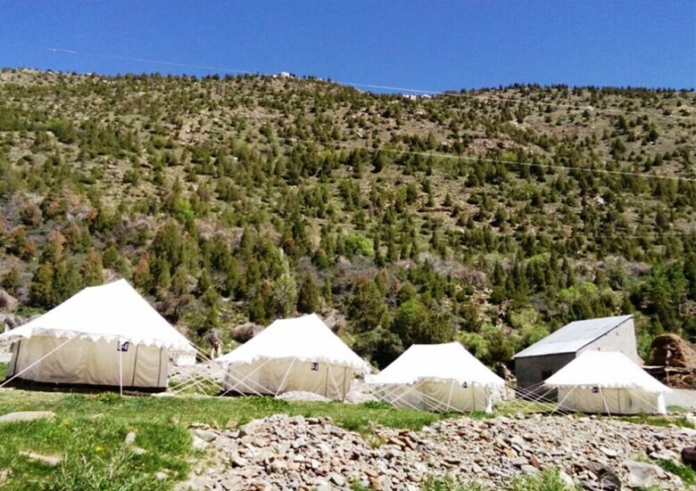 Tih Himalayan Shakia Camp - Jispa