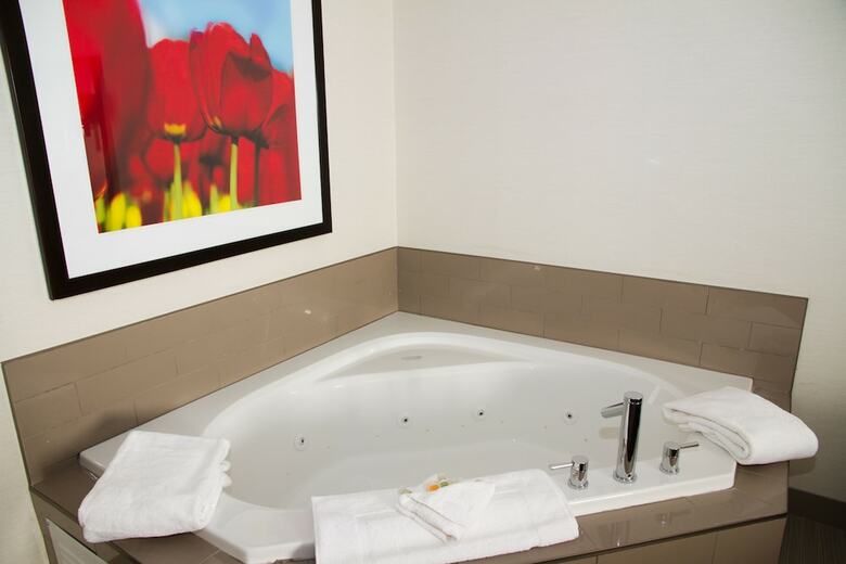 Holiday Inn Hotel & Suites Red Deer South